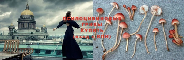 МДПВ Медвежьегорск