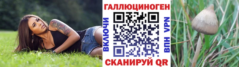 omg онион  Белая Холуница  Псилоцибиновые грибы Magic Shrooms 